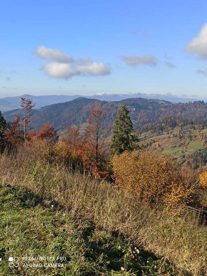 Котедж З Неймовірними Краєвидами, Карпатський Чан Dream, Чан Джакузі Slavske Exterior foto